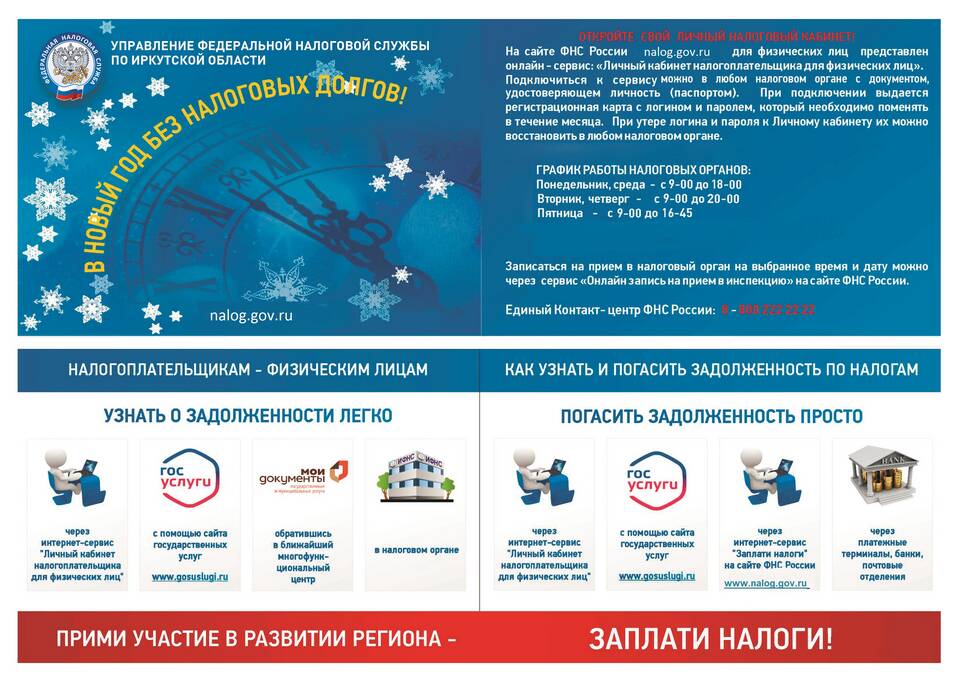 Чем занимается ФНС России