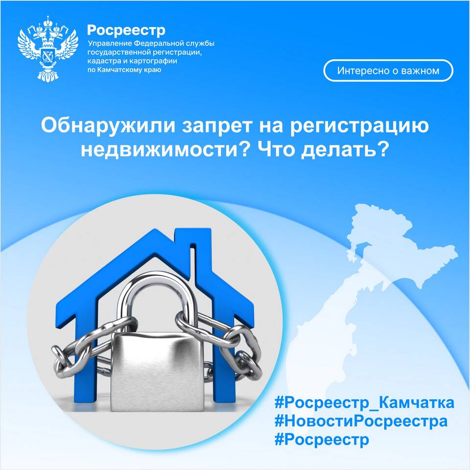 Что означает арест на регистрационные действия