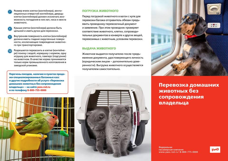 Как организовать отправку поезда на перегон