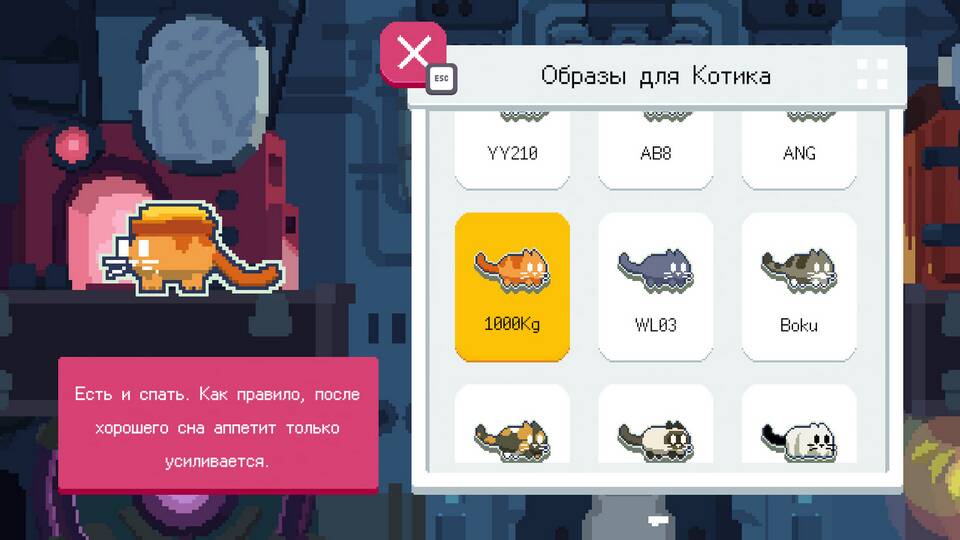 Как открыть 4 карту в Cat Online (CATO)