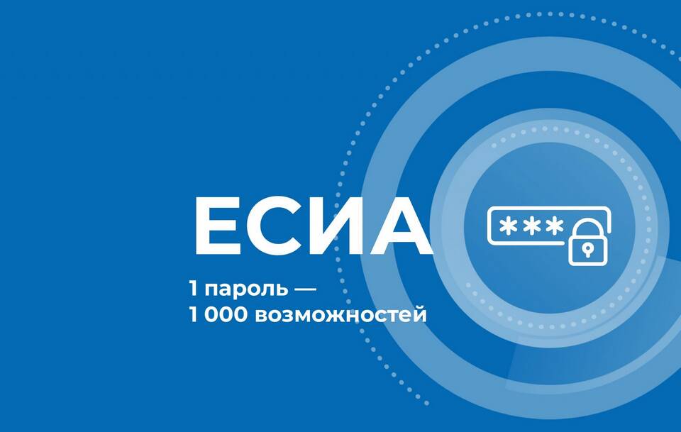 Мошеннические схемы на Циан: методы и защита