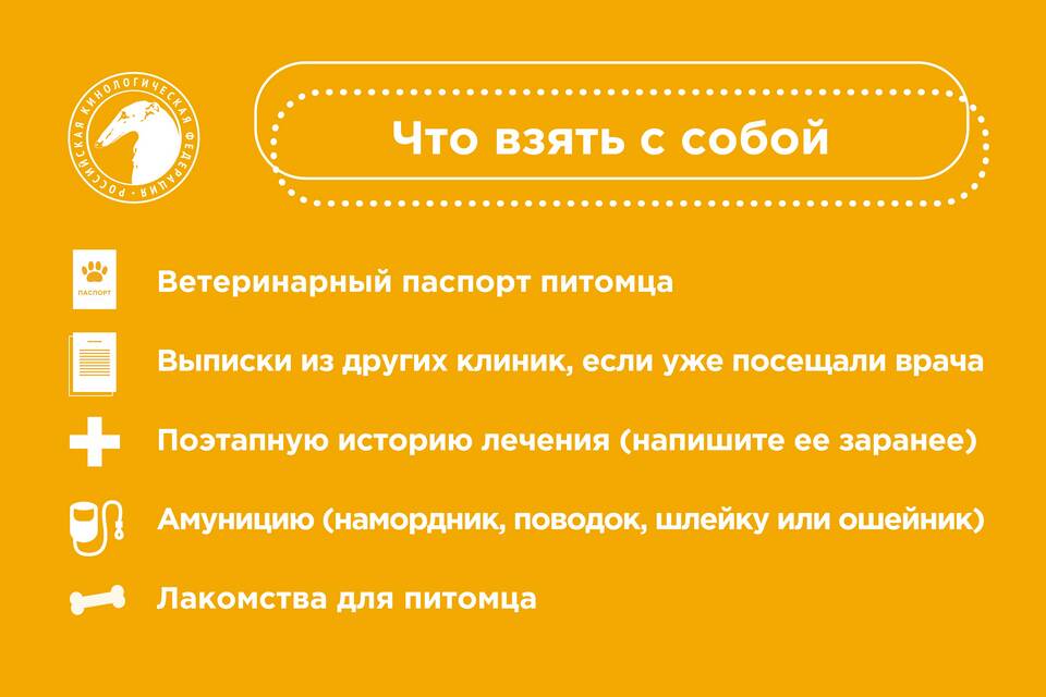 Зачем в ветеринарной клинике требуют паспорт