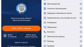 Что относится к личным налогам в Триколор ТВ
