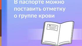 Как узнать ИНН по паспорту в Триколор ТВ