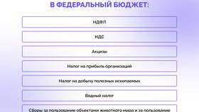 На что государство тратит налоговые поступления в Триколор ТВ