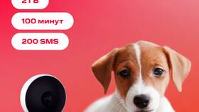 Сколько стоят SIM-карты МТС без интернета в Триколор ТВ