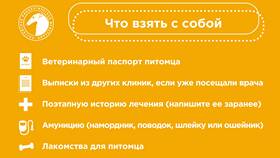 Зачем в ветеринарной клинике требуют паспорт в Триколор ТВ