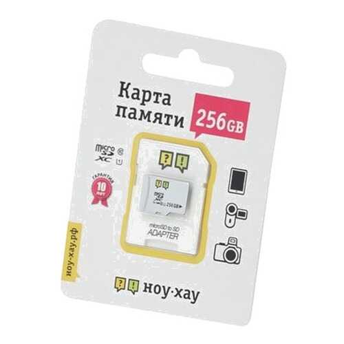 Карта памяти MicroSD 256Gb UHS-I Класс 10 + адаптер SD в Триколор ТВ